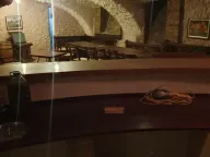 Izdavanje, poslovni prostor, 200m², Irig, Srbija - image 2