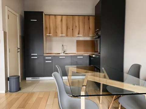Rent, two bedroom apartment, 66m², Vezirov Most, Podgorica - image 4