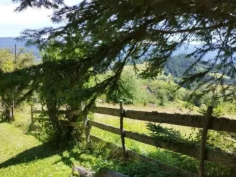 Sale, land lot, 500m², Tara, Srbija - image 4