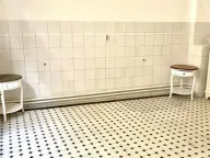 Izdavanje, poslovni prostor, 238m², Stari Grad, Beograd - image 11