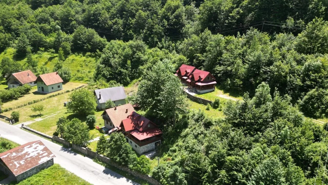 Pogled iz vazduha na kuće okružene šumom i prirodom.
