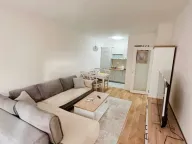 Izdavanje, jednosoban stan, 50m², Central Point, Podgorica - image 1