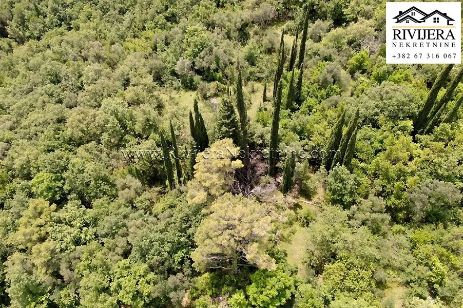 Prodaja, plac, 7325m², Mojdež, Herceg Novi