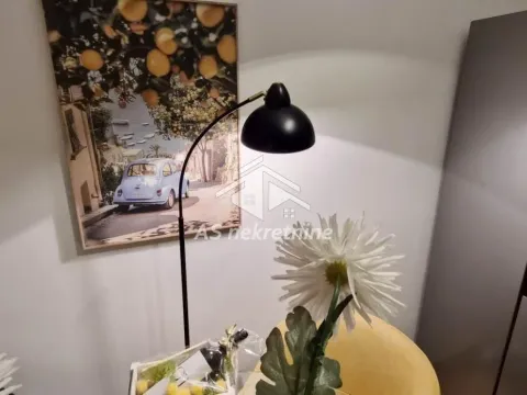 Rent, two bedroom apartment, 48m², Južni Bulevar, Vračar Sve Podlokacije - image 6