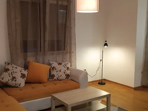 Izdavanje, jednosoban stan, 43m², Blok 6, Podgorica - image 2