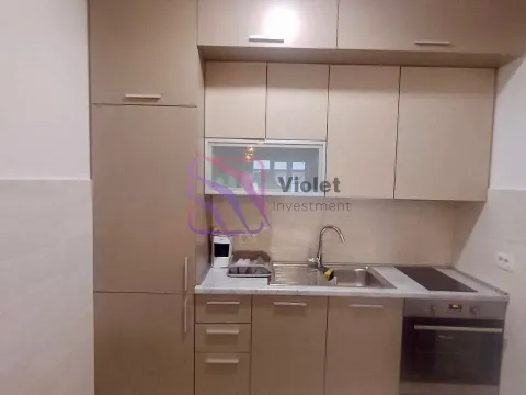 Izdavanje, jednosoban stan, 49m², Central Point, Podgorica - image 5