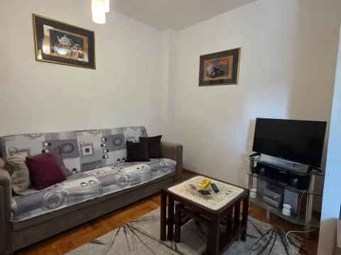 Rent, one bedroom apartment, 35m², Zabjelo, Podgorica - image 2
