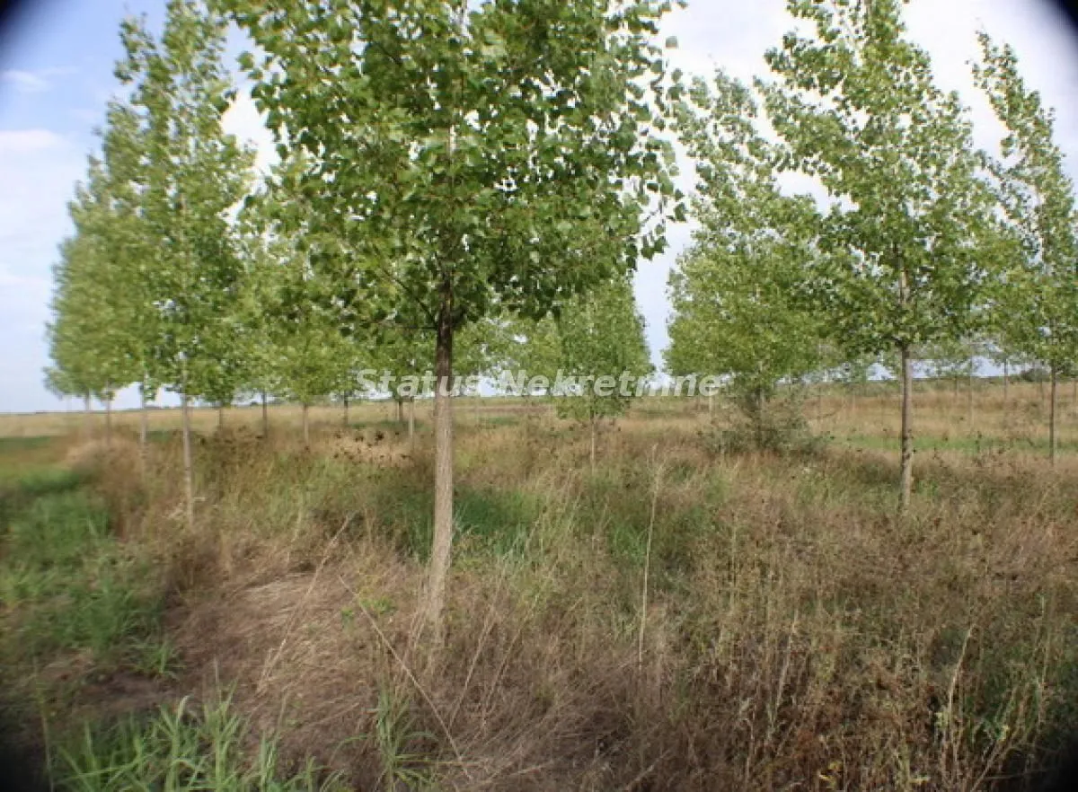 Prodaja, plac, 1378m², Zrenjanin, Srbija