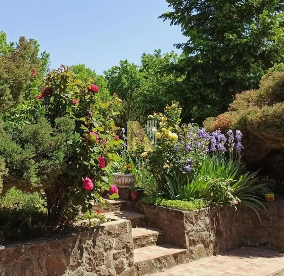 Sale, house, 322m², Ledinci, Petrovaradin