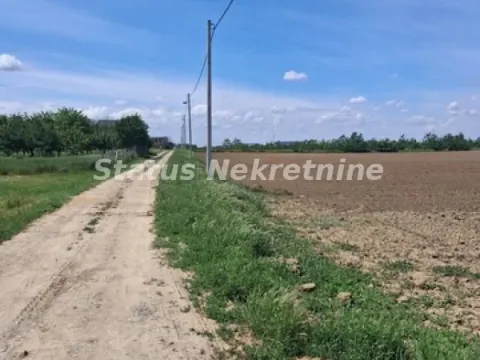 Prodaja, plac, 738m², Futog, Novi Sad Sve Podlokacije - image 3