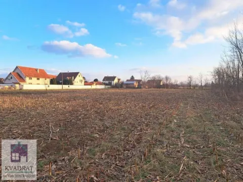 Sale, land lot, 4300m², Zvečka, Obrenovac - image 6