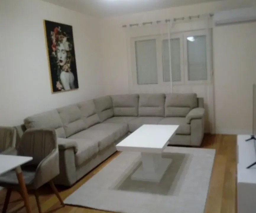 Izdavanje, jednosoban stan, 53m², Central Point, Podgorica