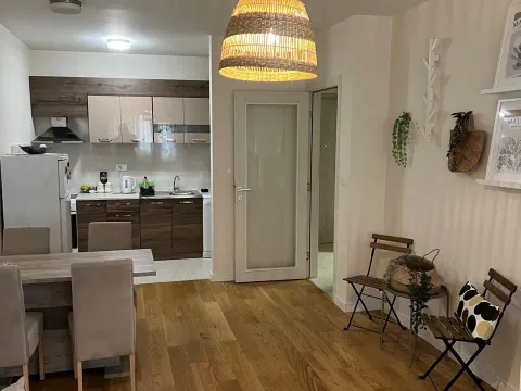 Izdavanje, jednosoban stan, 49m², Central Point, Podgorica - image 5