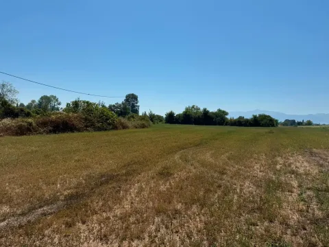 Zemljište in Zeta