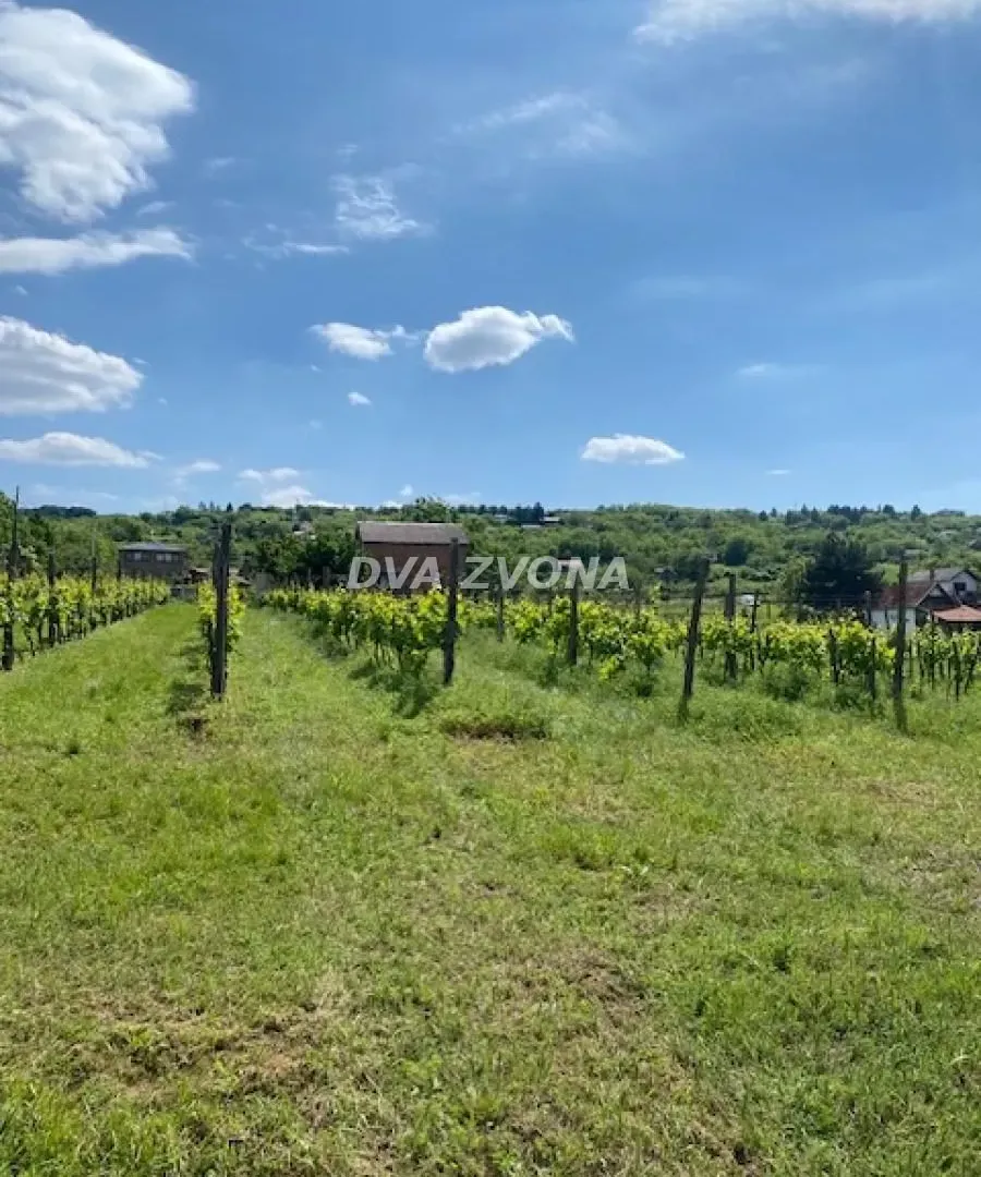 Prodaja, ugostiteljski objekat, 40m², Novi Slankamen, Inđija