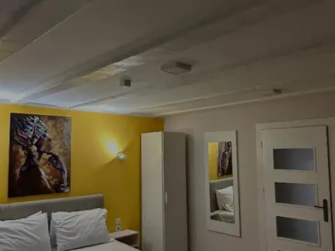 Prodaja, kuća, 240m², Medijana, Niš - image 6