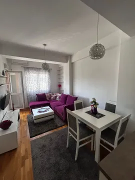Rent, one bedroom apartment, 59m², Central Point, Podgorica - image 713