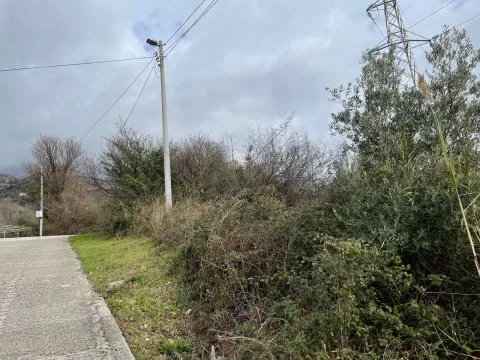 Zemljište sa samoniklim rastinjem pored lokalnog asfaltiranog puta. - image 13