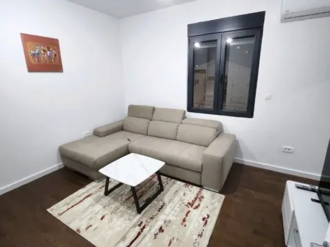 Izdavanje, jednosoban stan, 38m², Central Point, Podgorica - image 6