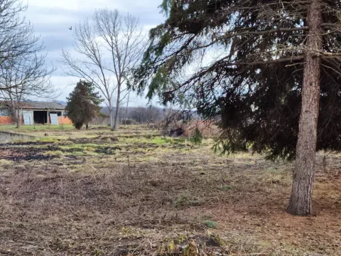 Prodaja, poslovni prostor, 1000m², Glogovac, Jagodina - image 11