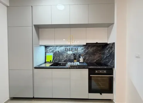 Modern kitchen with built-in cabinetry and appliances. - image 5