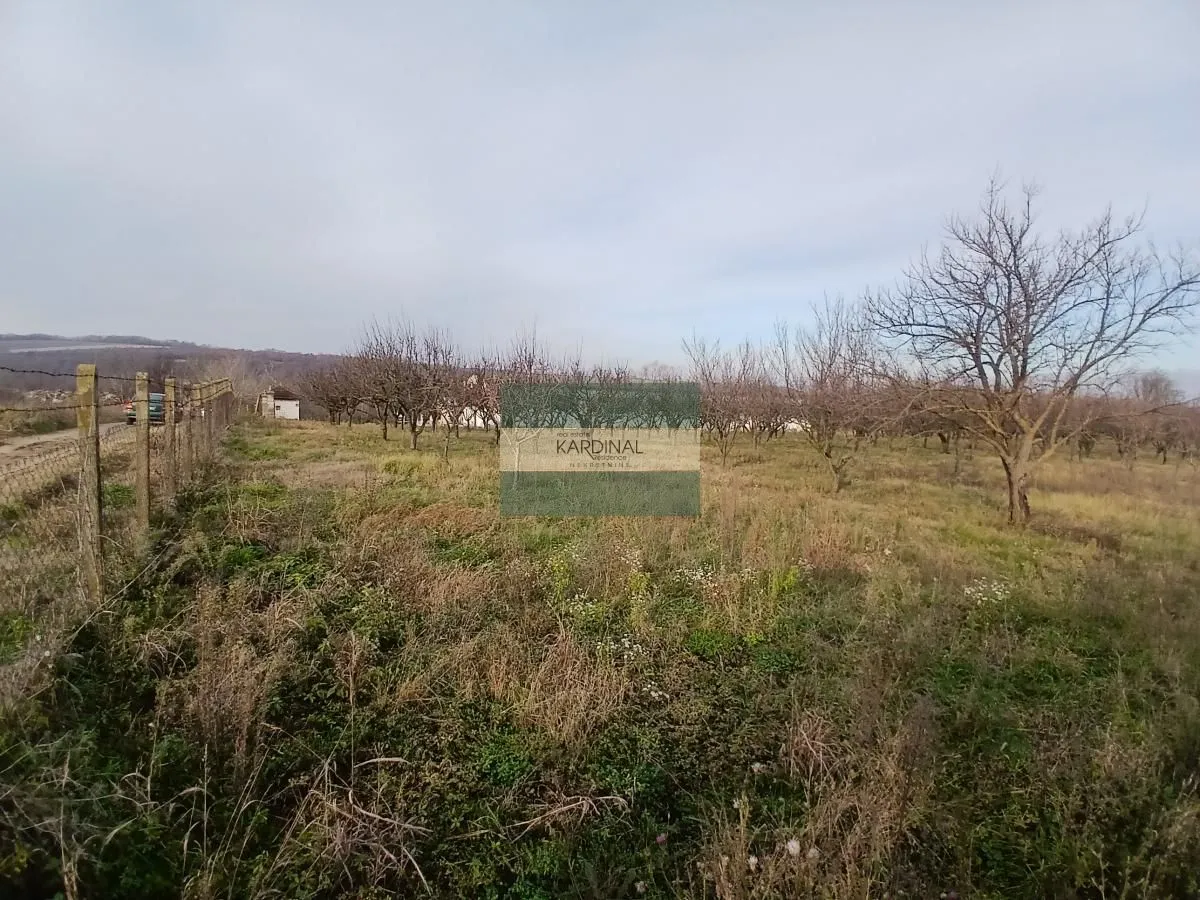 Sale, office space, 723m², Veliki Popović, Despotovac
