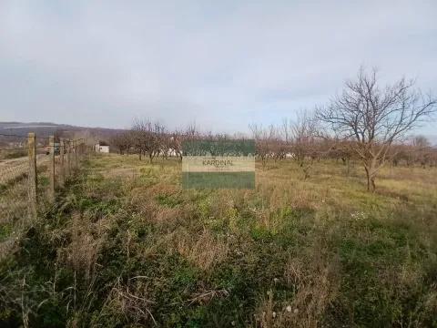 Sale, office space, 723m², Veliki Popović, Despotovac - image 32