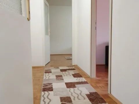 Izdavanje, dvosoban stan, 47m², Detelinara, Novi Sad Sve Podlokacije - image 6