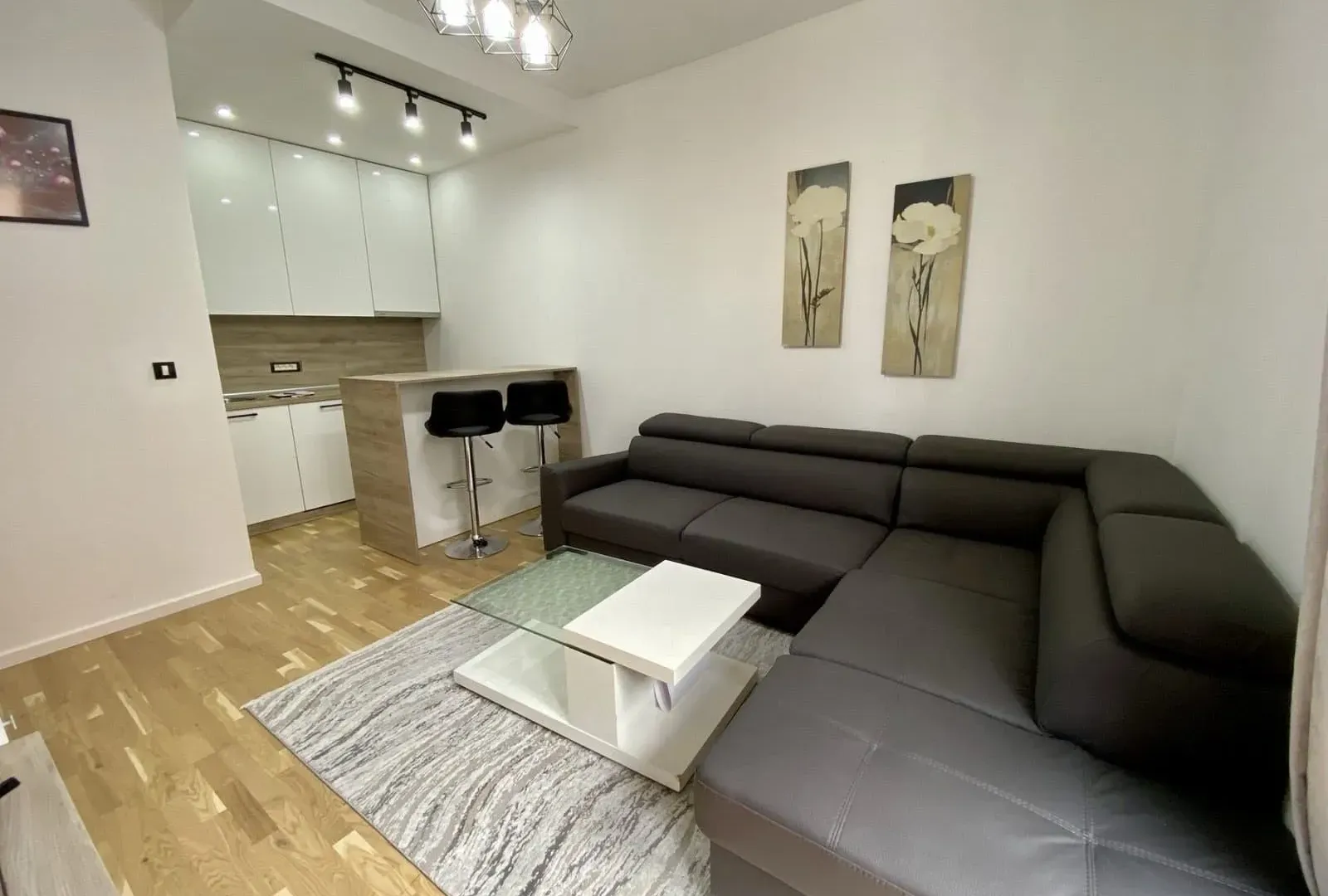 Rent, one bedroom apartment, 36m², Blok 6, Podgorica