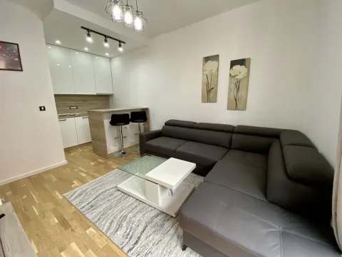 Rent, one bedroom apartment, 36m², Blok 6, Podgorica - image 2