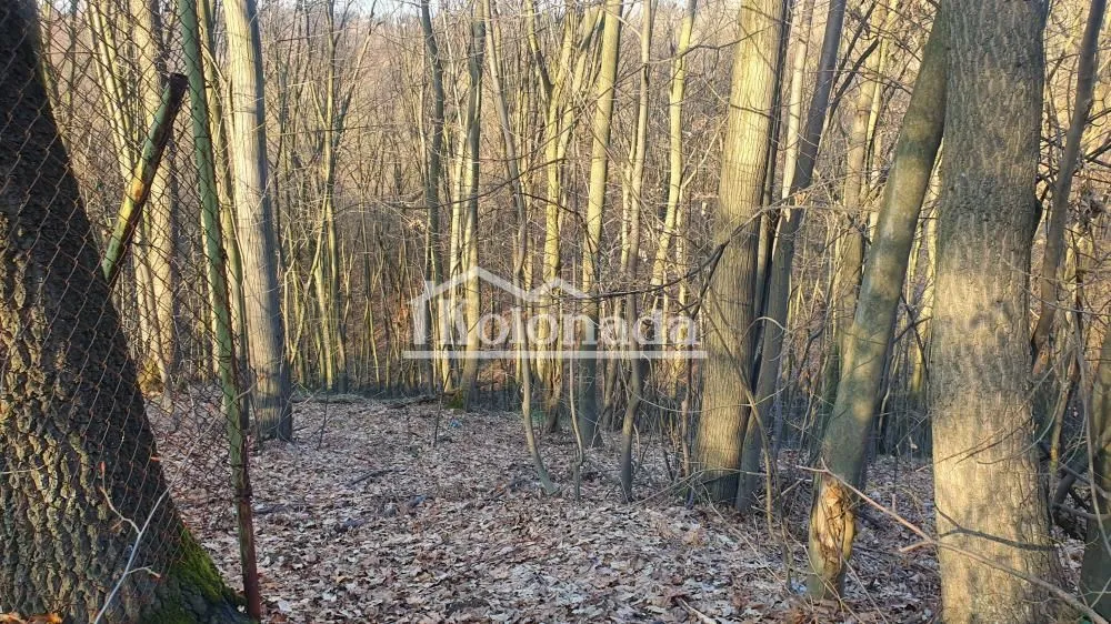 Prodaja, plac, 3000m², Babe, Sopot