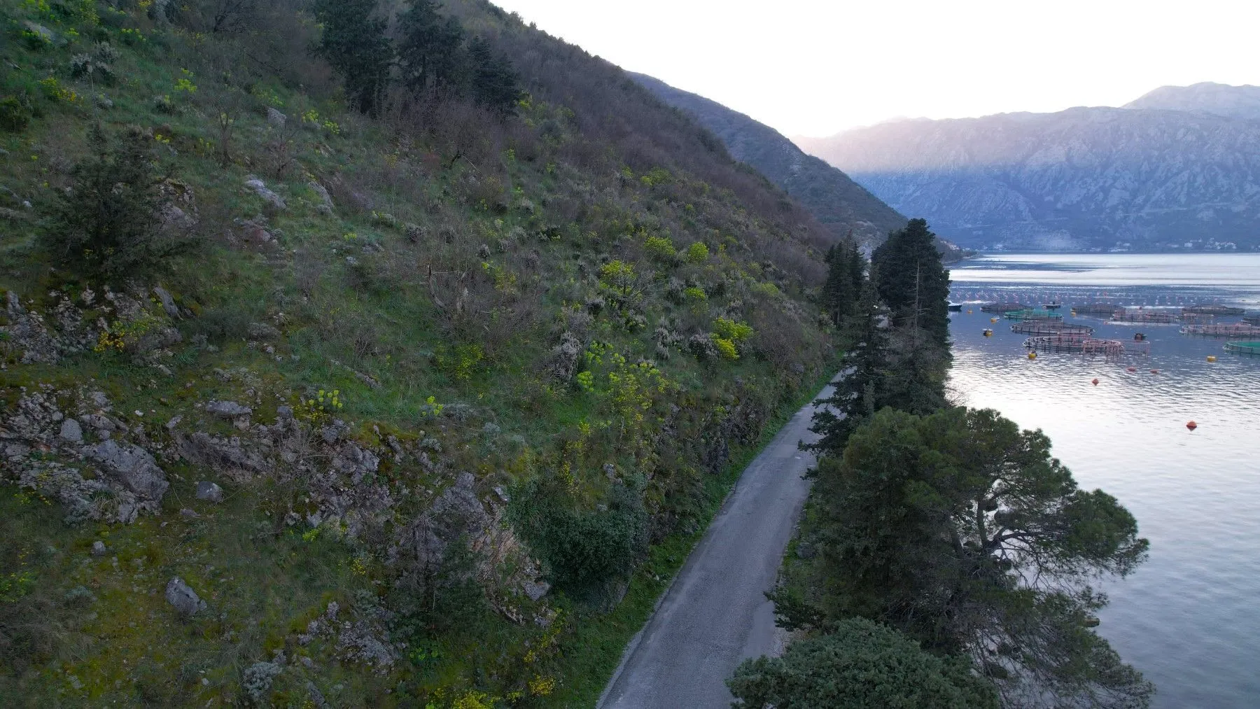 Prodaja, plac, 19000m², Stoliv, Kotor