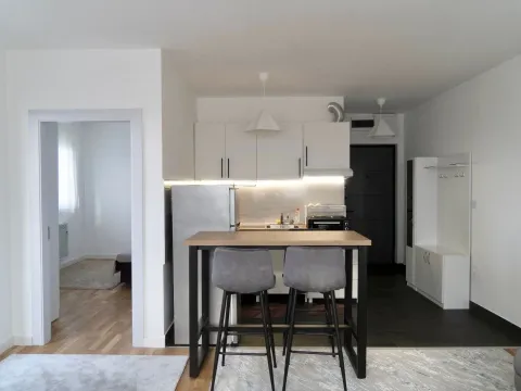 Izdavanje, dvosoban stan, 42m², Mirijevo Sve Podlokacije, Beograd - image 8