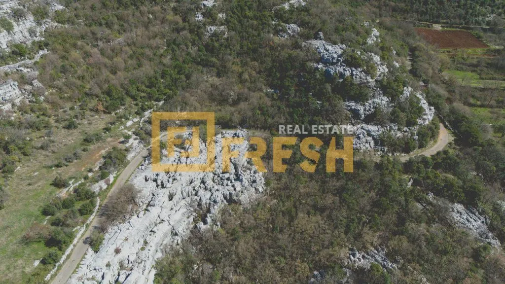 Prodaja, plac, 24770m², Ostalo, Podgorica
