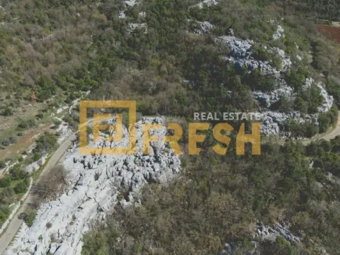 Prodaja, plac, 24770m², Ostalo, Podgorica - image 5