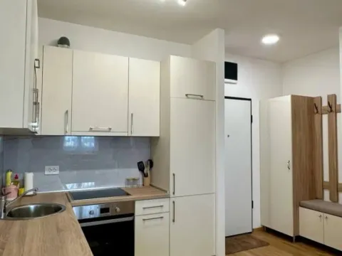 Izdavanje, jednosoban stan, 50m², Stari Aerodrom, Podgorica - image 2