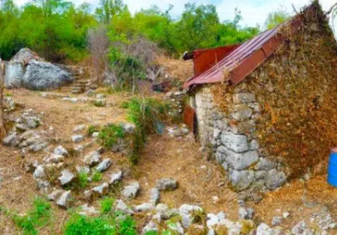 Prodaja, plac, 10001m², Cetinje, Crna Gora - image 6