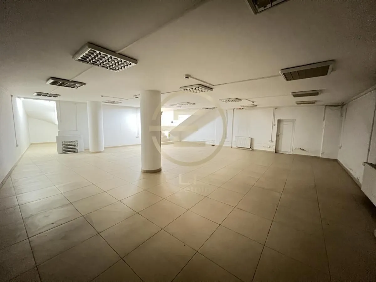 Rent, office space, 229m², Grbavica, Novi Sad Sve Podlokacije