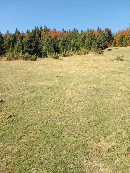 Prodaja, kuća, 77m², Kolašin, Crna Gora