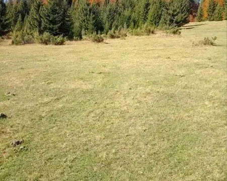 Sale, house, 77m², Kolašin, Crna Gora