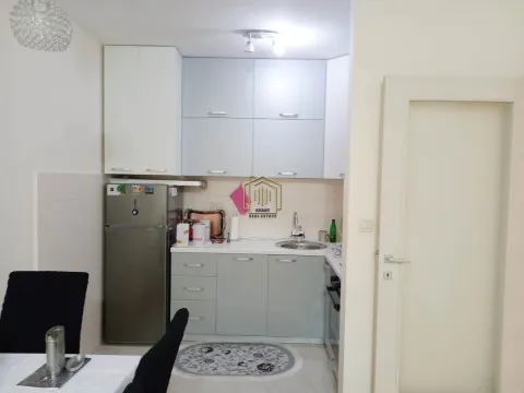 Izdavanje, jednosoban stan, 45m², Zagorič, Podgorica - image 4