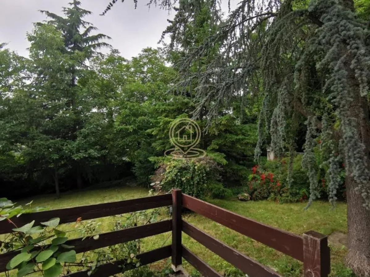 View of the green yard and trees from the terrace.