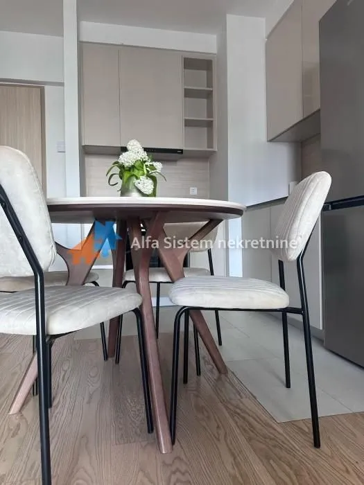 Izdavanje, dvosoban stan, 55m², Savski Venac, Beograd