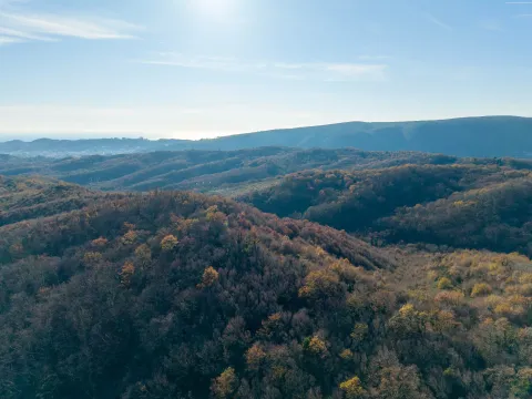 Sale, land lot, 28959m², Kolomza, Ulcinj - image 4