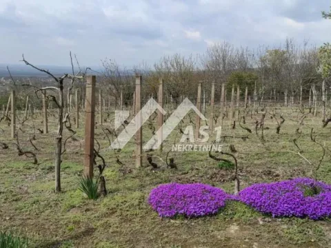 Prodaja, kuća, 70m², Novi Slankamen, Inđija - image 3