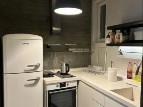 Izdavanje, trosoban stan, 125m², Stari Grad, Beograd - image 11