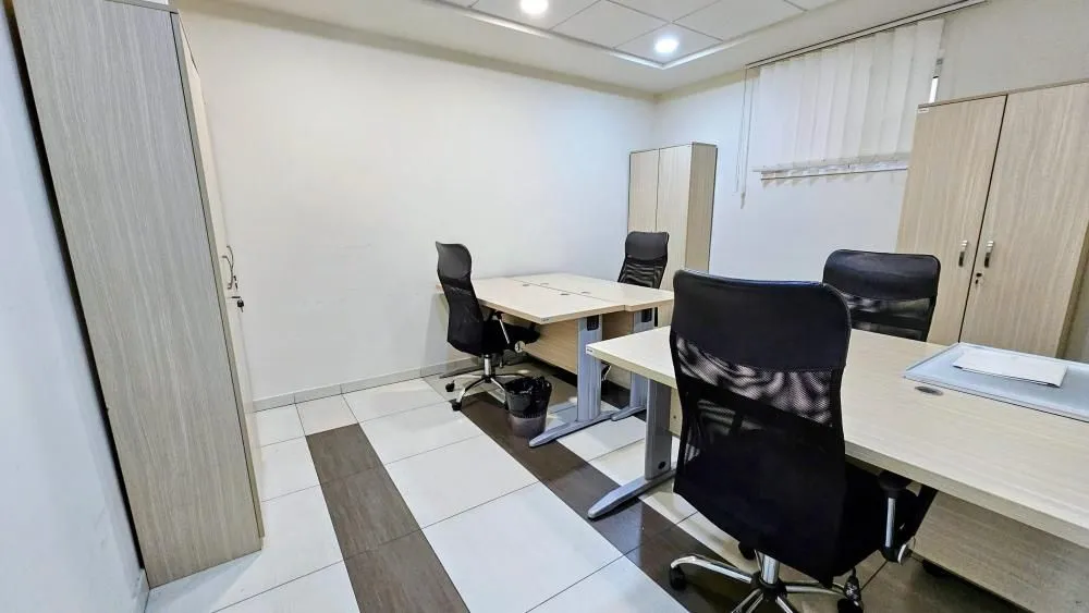 Rent, office space, 318m², Profesorska Kolonija, Palilula Sve Podlokacije