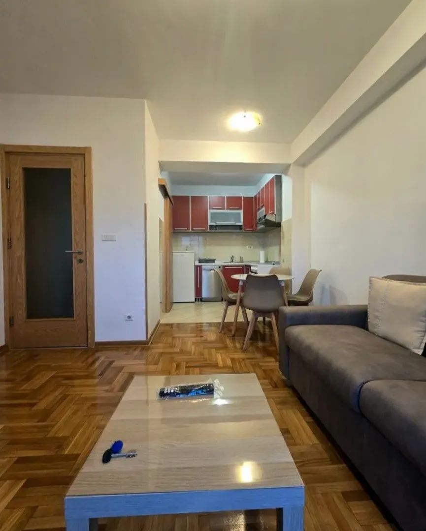Izdavanje, jednosoban stan, 44m², Preko Morače, Podgorica