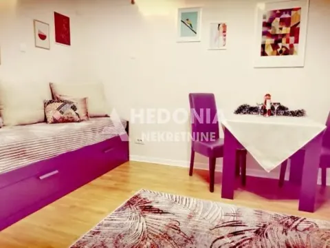Izdavanje, jednosoban stan, 34m², Stari Grad, Beograd - image 2