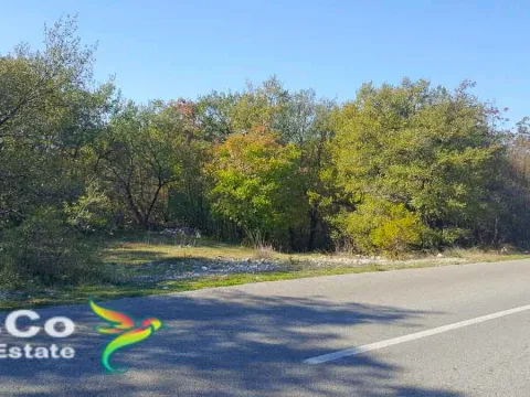 Prodaja, plac, 3900m², Danilovgrad, Crna Gora - image 4